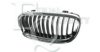 EQUAL QUALITY G1550 Radiator Grille